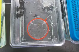 中国空间站拓展科学边界图片