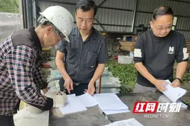 赫山区泉交河镇：小红薯孕育致富新“薯”光图片