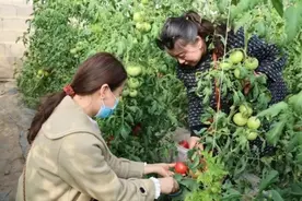 瓜州：农文旅融合绘就乡村振兴新图景图片