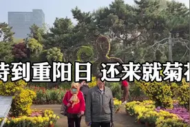 沈阳：待到重阳日  还来就菊花图片