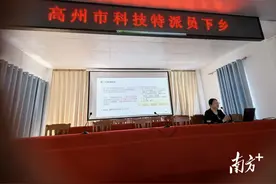 高州荔枝成花坐果关键时期，科技特派员来了图片