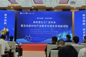 新希望“云工厂”正式启动 打造无机新材料产业数字化绿色供应链图片