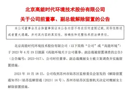 V观财报｜高能环境前董事、副总裁魏丽解除留置图片