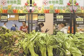 确保日供蔬菜新鲜安全 上海市郊蔬菜2小时直供图片