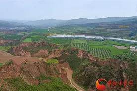 定西通渭版《山楂树之恋》：小镇栽下山楂树 春有百花秋有果图片