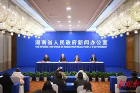 快讯丨湖南13条重点产业链成重要增长点图片