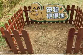 家门口成“狗公厕”！女子喷驱狗剂被狗主人告上法庭，法院：不予支持图片