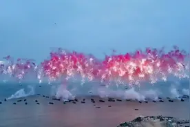 蔡国强回应烟花秀大量无人机坠海：烟花的艺术不是拍电影 遗憾没有办法重来图片