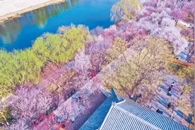 来桃花堤，感受文艺气息图片