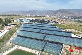 漳县：土豆变“金豆”托起增收“好钱景”图片