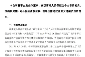 辣椒财经︱湖南平江发现超40条金矿脉，哪家企业将收获最大“金喜”？图片