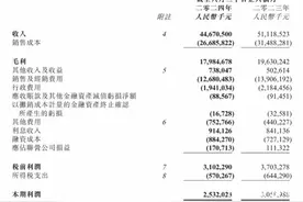 蒙牛上半年营收、利润双位数下降，冰淇淋业务收入跌幅最大图片