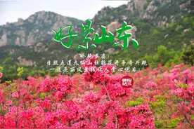 4月27日最佳情报|杜鹃花开娇艳多姿,槐花盛放满山飘香!恭喜图片