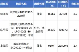 2025年杭州首批宅地挂牌，火热的安琪儿板块又上新图片