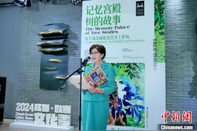 爱尔兰驻华大使：欢迎中国延长对爱免签 增进两国双向旅游图片