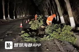泉力开春！泉州市公路中心养护工程全面复工图片