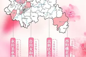 重庆最新桃花观赏地图出炉，浪漫春日盛宴即将开启！图片