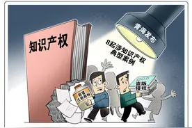 （图表·漫画）发布典型案例（1）图片