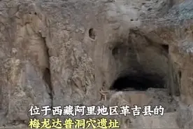 国宝画重点丨在世界屋脊一探远古家园的秘密图片