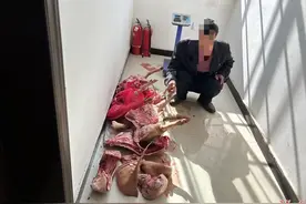 沅陵三男子结伙持枪盗猎被严惩图片