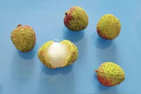 补充维生素C，这种水果可多吃吗？不是橙子→图片
