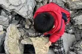 临沂5岁男孩登山发现古生物化石 知情人士：之前就有发现过，研究价值不大图片