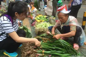 真有你的！大学生逛菜市场，发现新物种！图片