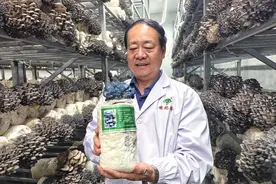 河南世纪香食用菌开发有限公司：食用菌行业的科研创新领跑者图片