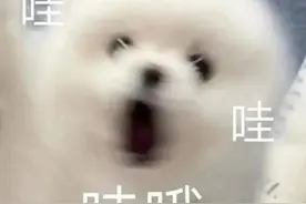 月薪1800去上海交大做“保安”，还要求研究生学历？这份招聘引热议→图片