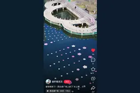 武汉长江以北最早的樱花林旁出现“水上樱花”景观，盛花期预计在3月底至4月初图片