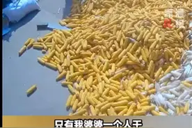 来走亲戚的岳母连剥了十几天玉米，亲情的美好就是相互帮忙图片