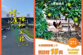 打造“一盘货”，鲁商集团把小小橙子卖成爆款图片