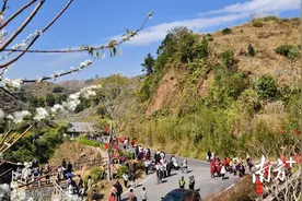 信宜钱排：千山覆“雪”迎新春，赏花正当时图片