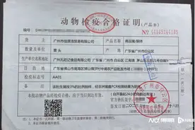 孔旺记屠宰的瘦肉抗生素超标？各方回应，销售方称按流程进货图片
