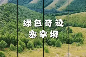 寻访绿色奇迹｜从一棵树到一片“海”，为建设美丽中国增绿添彩图片