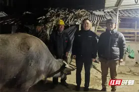 牛！找回来了图片