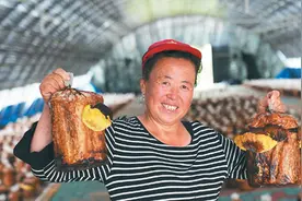 桑黄：给好日子镶道“金边”（道地药材巡礼·吉林篇）图片