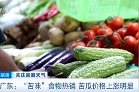 “苦味”食物火了！广东“苦瓜刺身”受欢迎图片