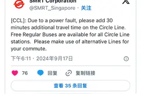 新加坡中秋夜狂风暴雨突袭！地铁瘫痪，树倒车砸，人员受伤，全岛一片混乱……图片