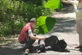 发现深圳山中野居男子的快递员：蹲守1个月找到流浪人员住处，已助7个家庭团圆图片