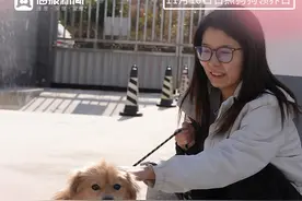 日照市犬只收容留检中心开放，“毛孩子”们有了新家图片