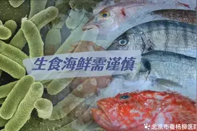 【院庆51周年】感染性疾病科：佳节聚会庆团圆，生食海鲜需谨慎图片