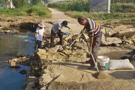 宁阳县东庄镇：田间道路大变身 为农民秋收铺就“黄金路”！图片