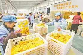 重庆打好“组合拳” 培育壮大优势特色产业图片