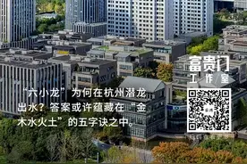 “六小龙”何以扎堆出现？课题组细数杭州的“金木水火土”图片