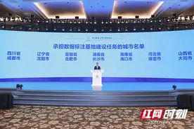 力推数字经济高水平发展 长沙获批国家级数据标注基地图片