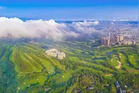 深圳一周丨各区书记区长在忙啥？（10月7日-10月13日）图片