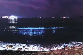 青岛八大峡海域出现“蓝眼泪” 吸引市民游客打卡拍照图片
