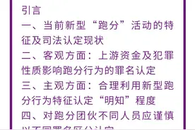 胡佳祺｜掩隐罪与帮信罪区分视角下新型跑分行为的刑法规制图片