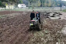 商洛：科技特派员田间地头开“良方” 小麦丰收有保障图片